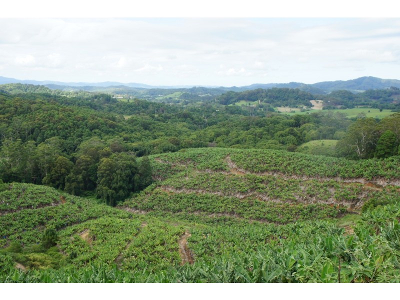 761 Smiths Creek Road, Stokers Siding NSW 2484