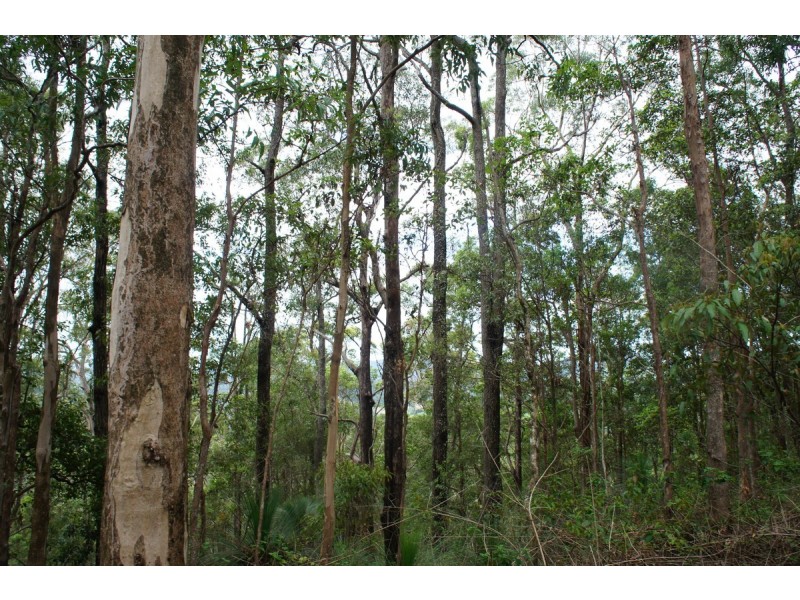 761 Smiths Creek Road, Stokers Siding NSW 2484