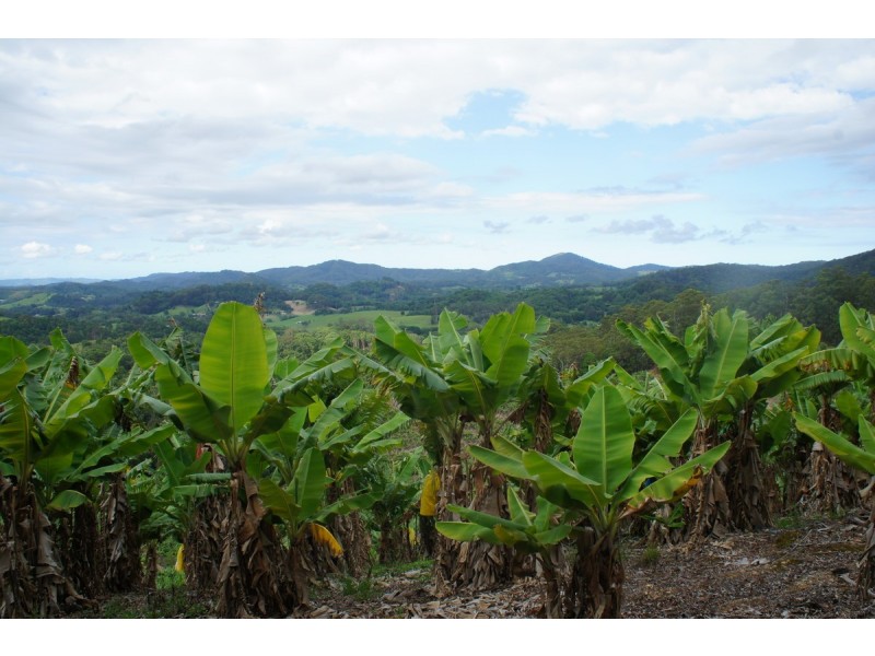 761 Smiths Creek Road, Stokers Siding NSW 2484