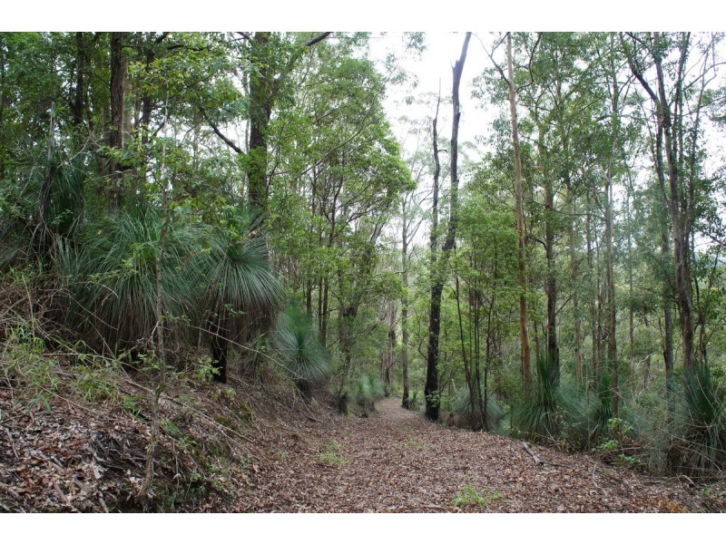 761 Smiths Creek Road, Stokers Siding NSW 2484