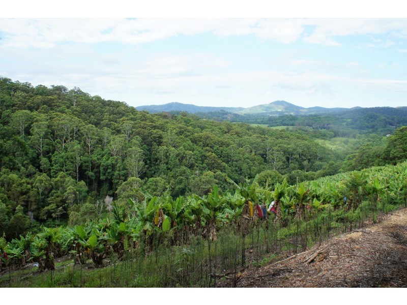 761 Smiths Creek Road, Stokers Siding NSW 2484