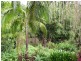 9 Old Convent Road, Uki NSW 2484