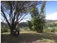44 Station Street, Burringbar NSW 2483