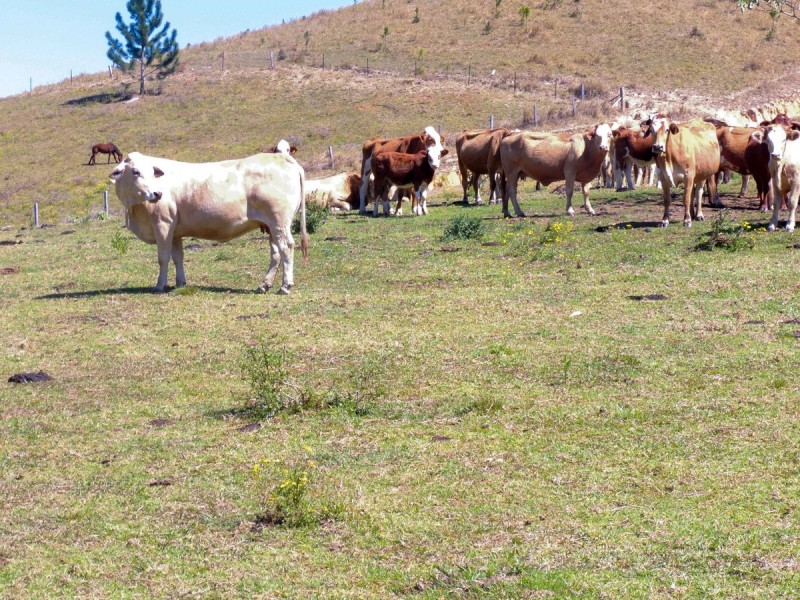 69 Blakeneys Road, Stokers Siding NSW 2484