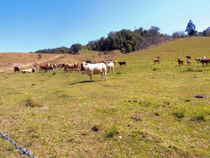 69 Blakeneys Road, Stokers Siding NSW 2484