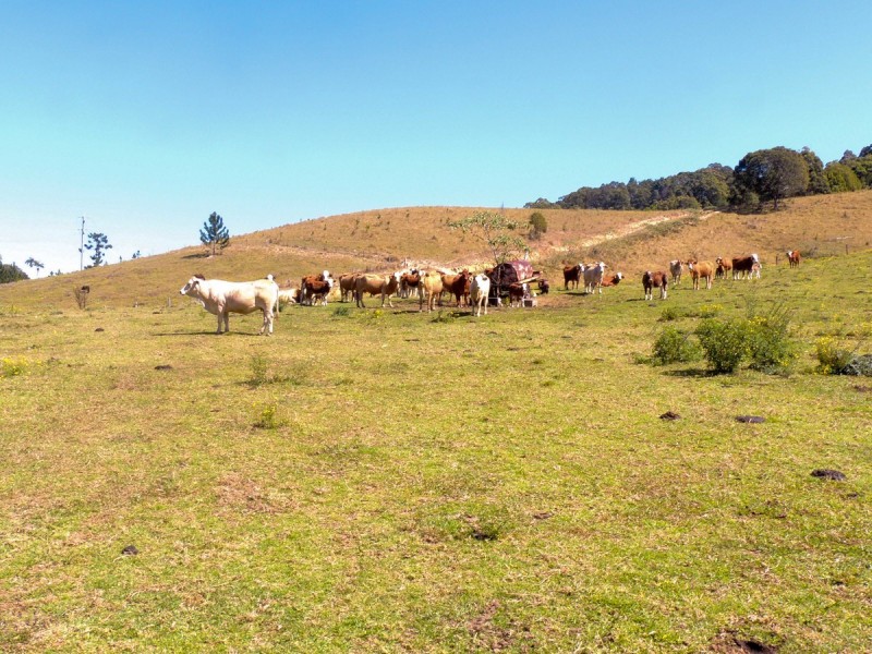 69 Blakeneys Road, Stokers Siding NSW 2484