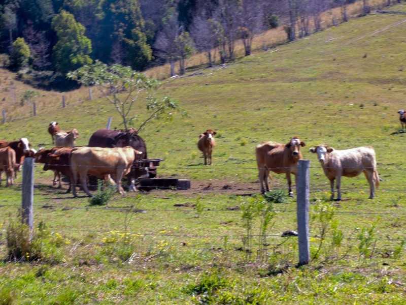 69 Blakeneys Road, Stokers Siding NSW 2484