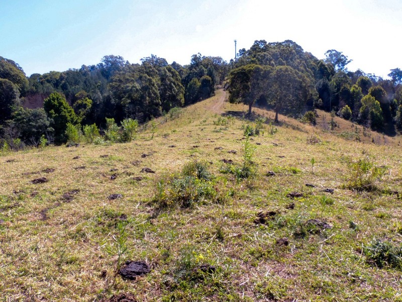 69 Blakeneys Road, Stokers Siding NSW 2484