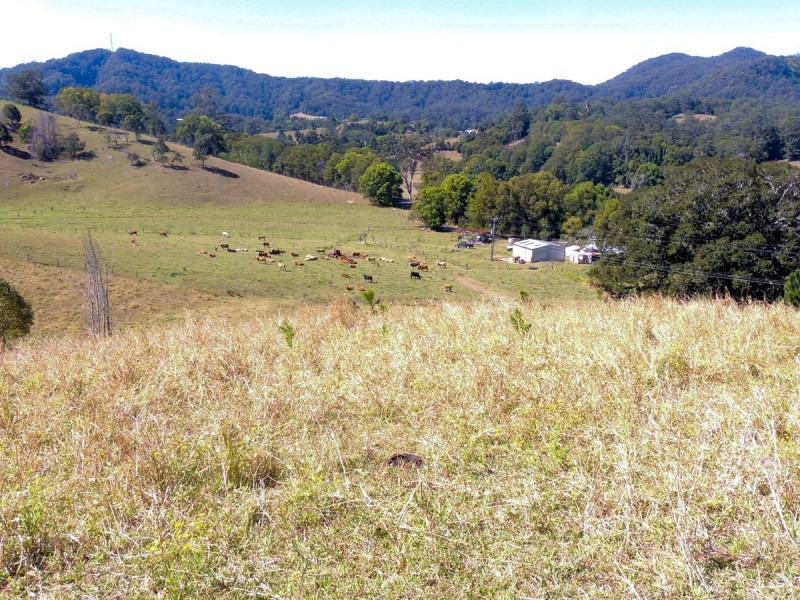 69 Blakeneys Road, Stokers Siding NSW 2484