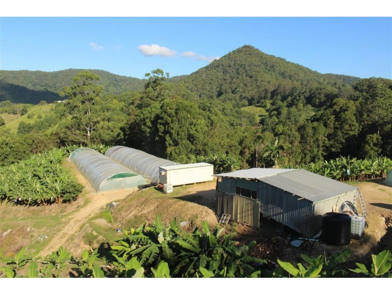 729 Smiths Creek Road, Stokers Siding, Stokers Siding NSW 2484