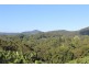 729 Smiths Creek Road, Stokers Siding, Stokers Siding NSW 2484