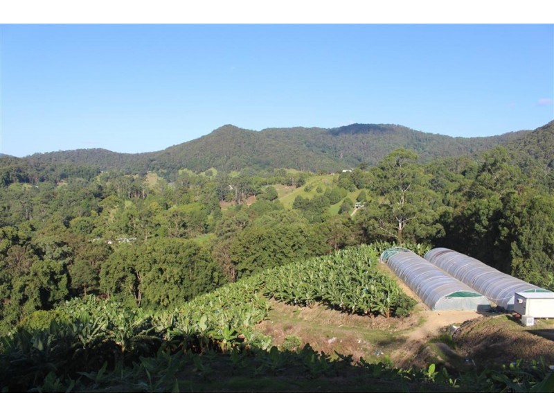 729 Smiths Creek Road, Stokers Siding, Stokers Siding NSW 2484