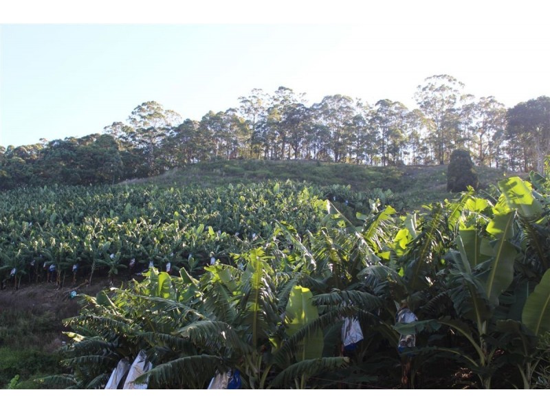 729 Smiths Creek Road, Stokers Siding, Stokers Siding NSW 2484