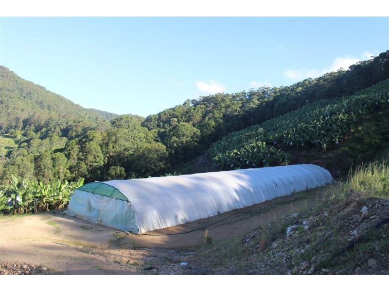 729 Smiths Creek Road, Stokers Siding, Stokers Siding NSW 2484