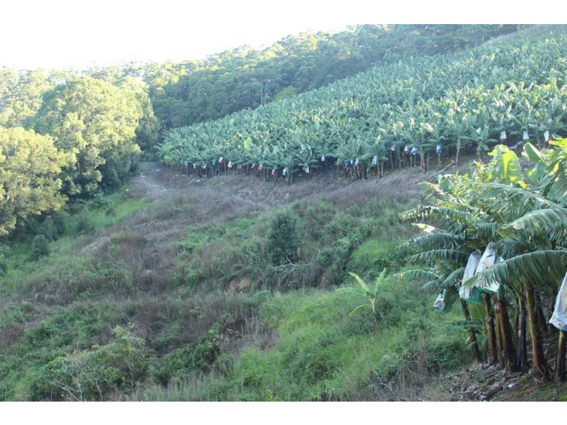 729 Smiths Creek Road, Stokers Siding, Stokers Siding NSW 2484