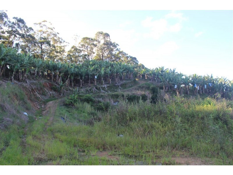 729 Smiths Creek Road, Stokers Siding, Stokers Siding NSW 2484