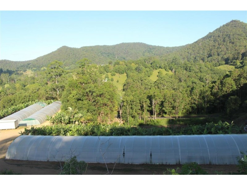 729 Smiths Creek Road, Stokers Siding, Stokers Siding NSW 2484