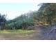 729 Smiths Creek Road, Stokers Siding, Stokers Siding NSW 2484