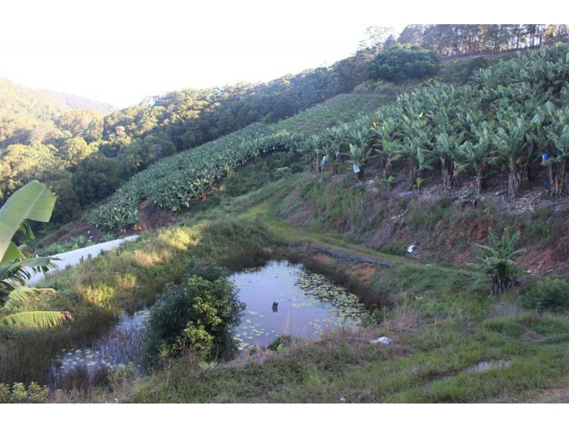 729 Smiths Creek Road, Stokers Siding, Stokers Siding NSW 2484