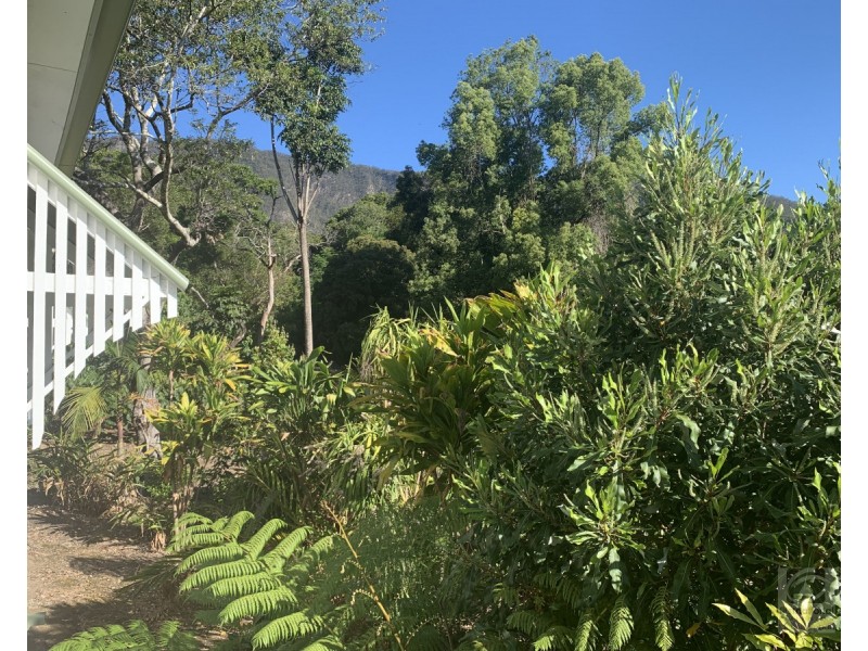 873 Commissioners Ck Road, Commissioners Creek NSW 2484