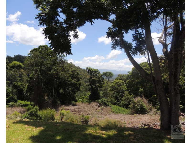 873 Commissioners Ck Road, Commissioners Creek NSW 2484