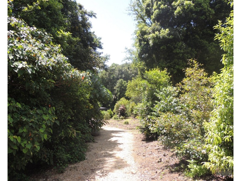 873 Commissioners Ck Road, Commissioners Creek NSW 2484