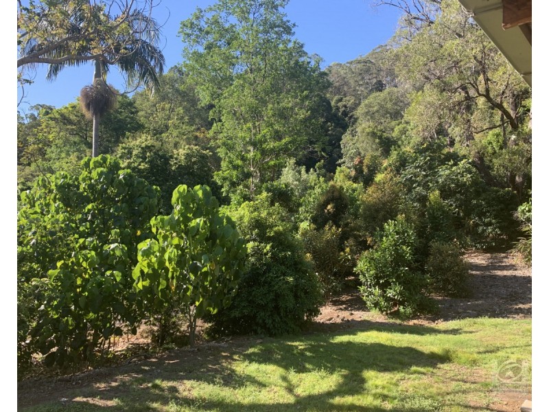 873 Commissioners Ck Road, Commissioners Creek NSW 2484