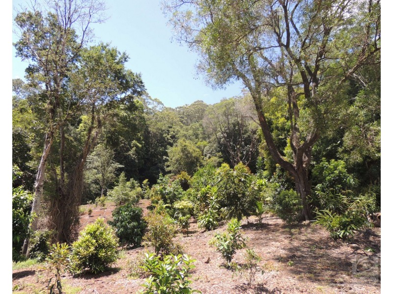 873 Commissioners Ck Road, Commissioners Creek NSW 2484