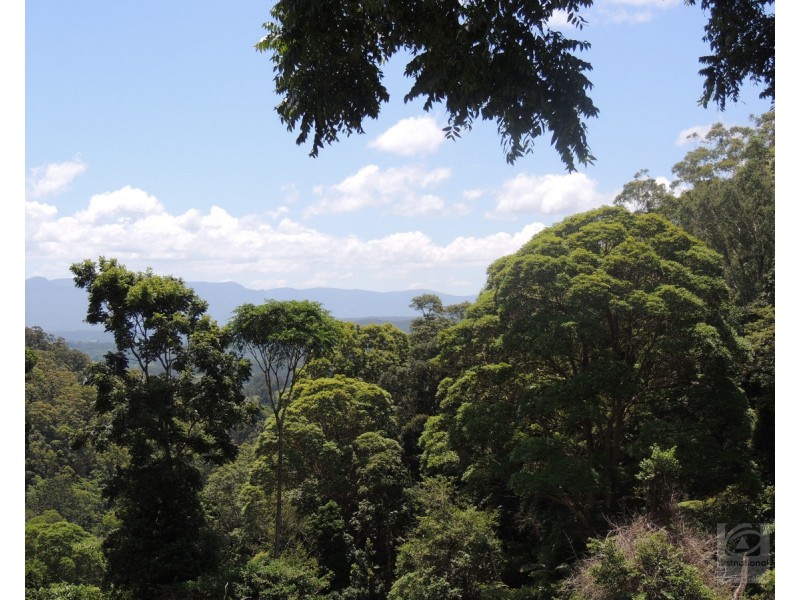 873 Commissioners Ck Road, Commissioners Creek NSW 2484