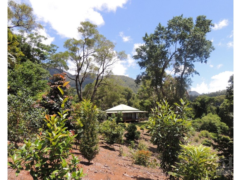 873 Commissioners Ck Road, Commissioners Creek NSW 2484