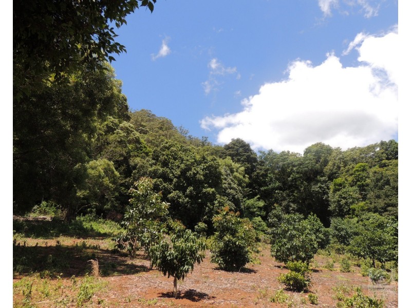 873 Commissioners Ck Road, Commissioners Creek NSW 2484