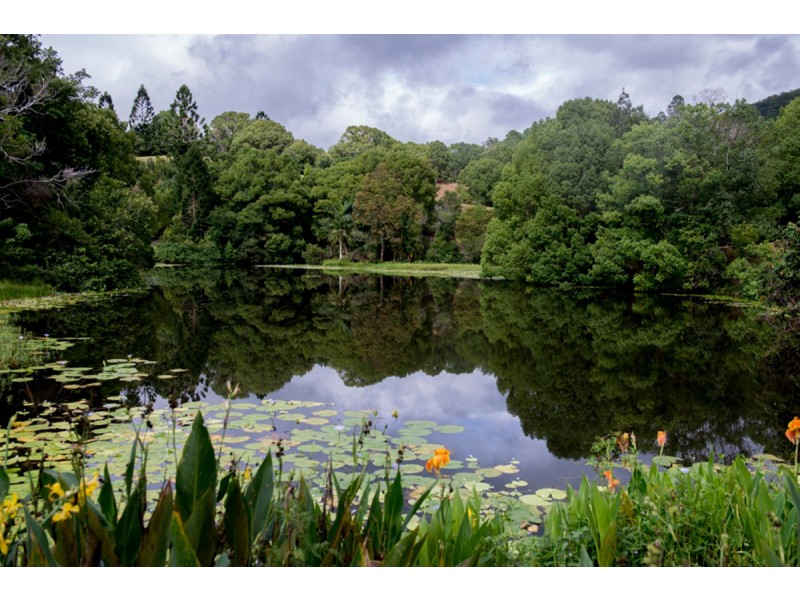 26 Mount  Warning Road, Mount Warning NSW 2484