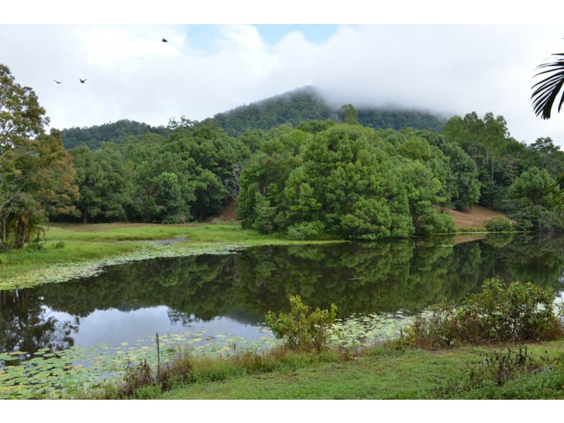 26 Mount  Warning Road, Mount Warning NSW 2484