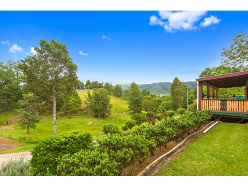 79 Malabar  Avenue, Uki NSW 2484