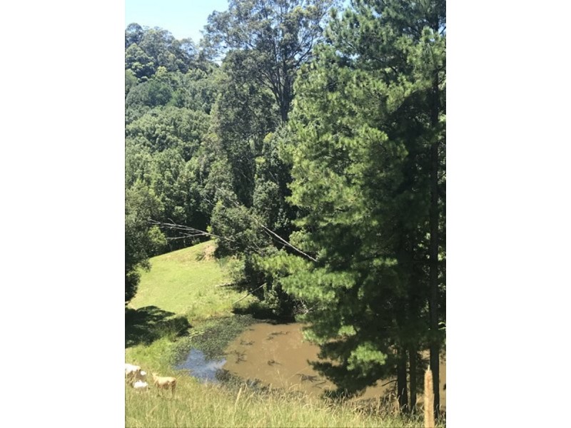 79 Malabar  Avenue, Uki NSW 2484