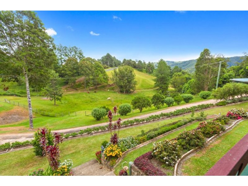 79 Malabar  Avenue, Uki NSW 2484