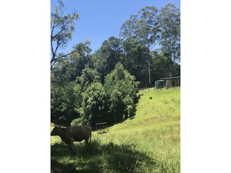 79 Malabar  Avenue, Uki NSW 2484