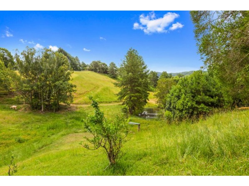 79 Malabar  Avenue, Uki NSW 2484