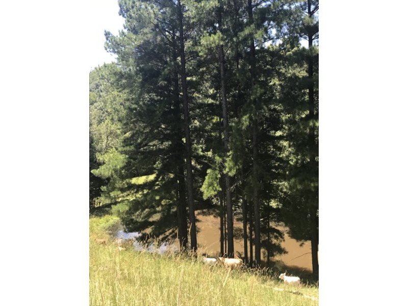 79 Malabar  Avenue, Uki NSW 2484