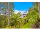 1262 Urliup Road, Murwillumbah NSW 2484