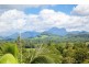 1262 Urliup Road, Murwillumbah NSW 2484