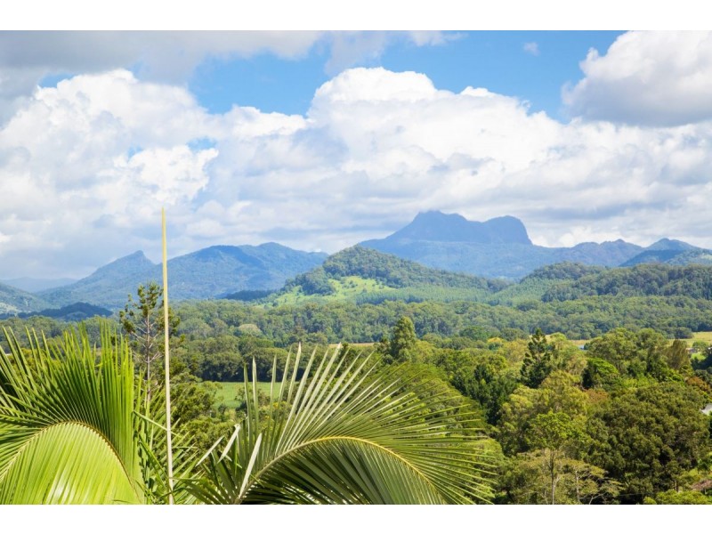 1262 Urliup Road, Murwillumbah NSW 2484
