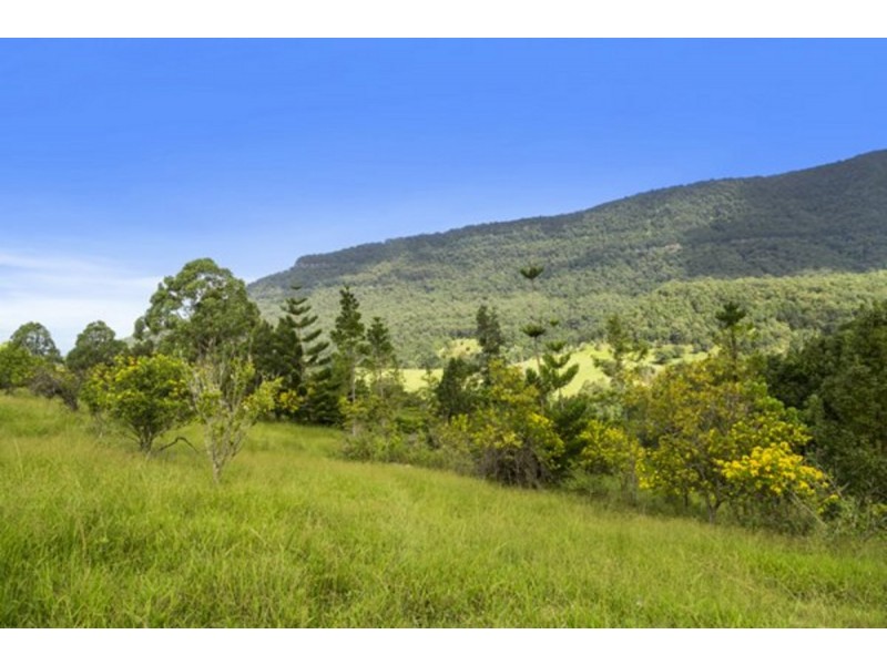 372 Limpinwood Valley Road, Limpinwood NSW 2484