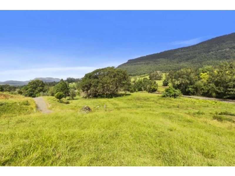 372 Limpinwood Valley Road, Limpinwood NSW 2484