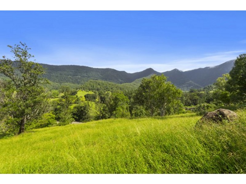 372 Limpinwood Valley Road, Limpinwood NSW 2484