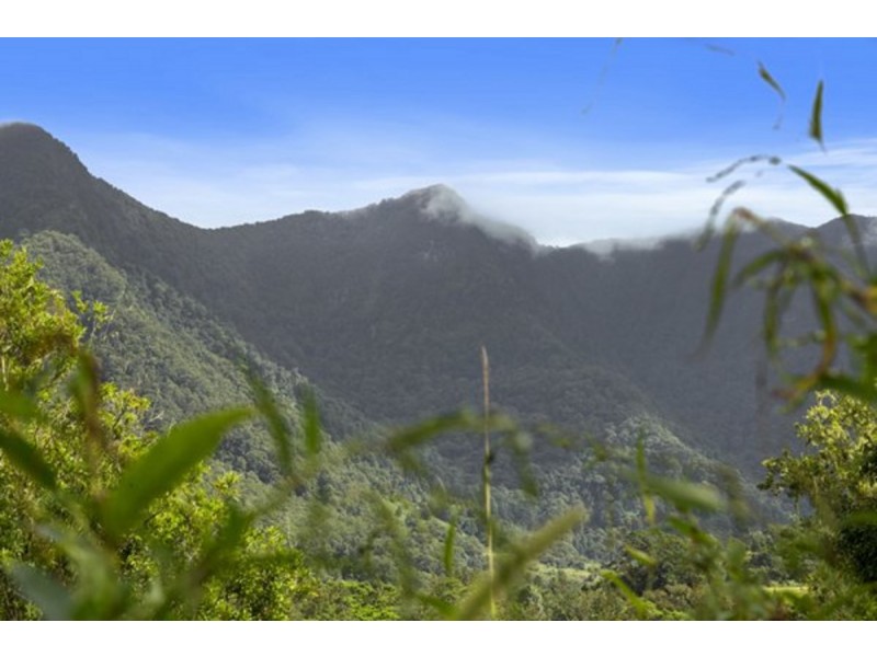 372 Limpinwood Valley Road, Limpinwood NSW 2484