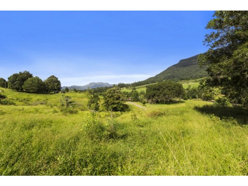 372 Limpinwood Valley Road, Limpinwood NSW 2484