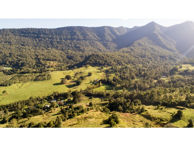 372 Limpinwood Valley Road, Limpinwood NSW 2484