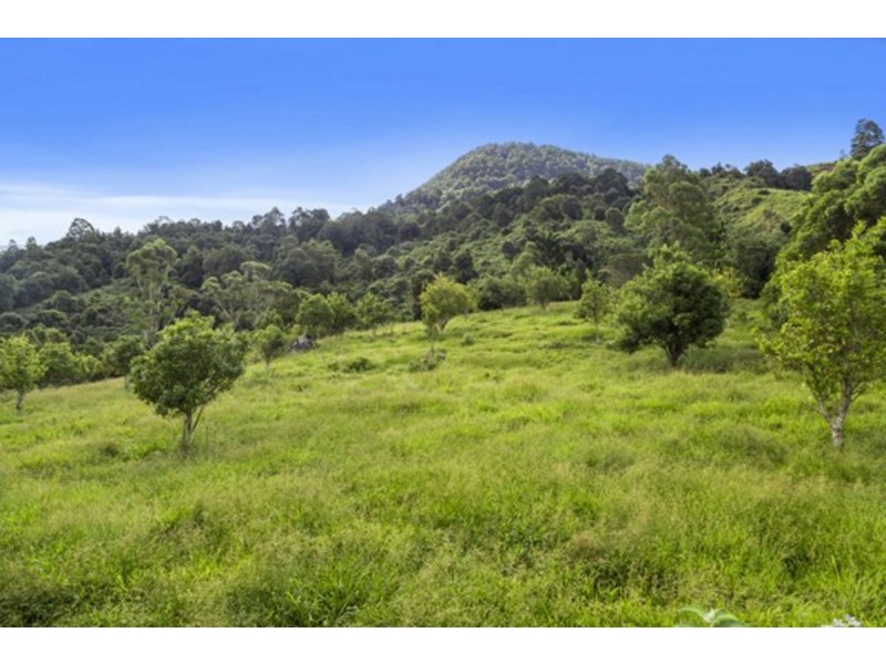 372 Limpinwood Valley Road, Limpinwood NSW 2484