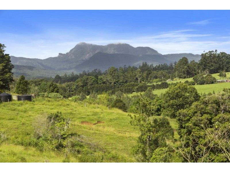 372 Limpinwood Valley Road, Limpinwood NSW 2484